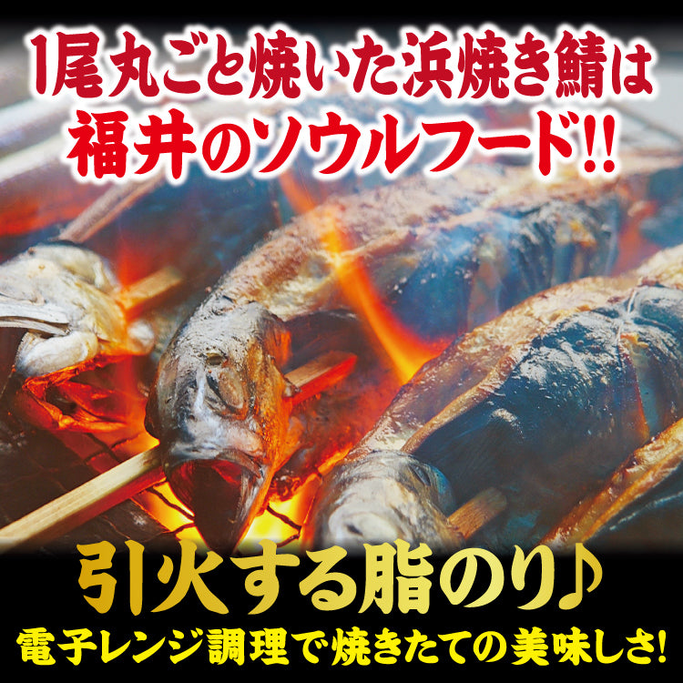 福井名物 浜焼きサバ 焼き鯖 – 美味食卓さくだ屋