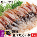 生ホタルイカ 1kg