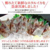 生ホタルイカ 1kg