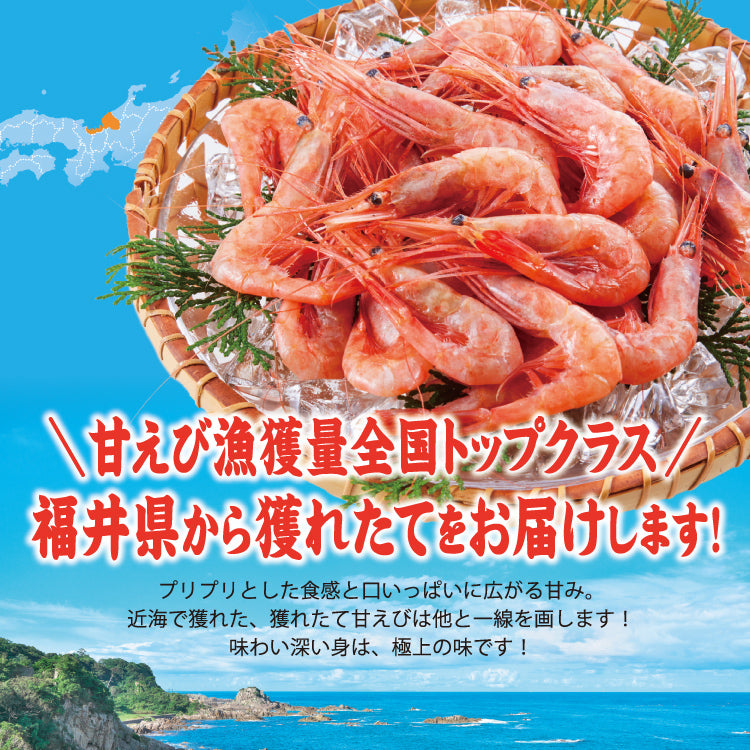 福井県産 甘えび 250g～750g 【冷凍便】 ｜ 福井県越前市の魚屋 美味