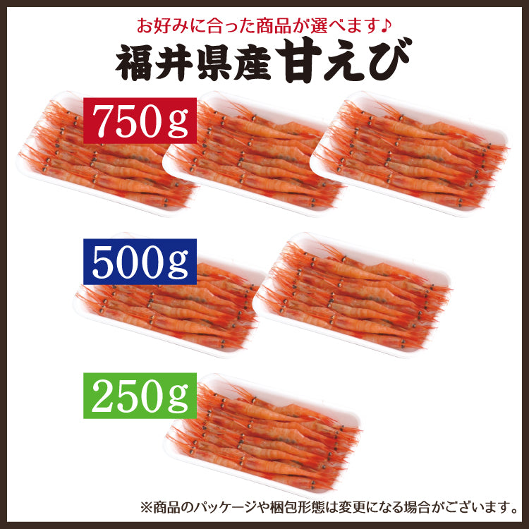 福井県産 甘えび 250g～750g 【冷凍便】 ｜ 福井県越前市の魚屋 美味