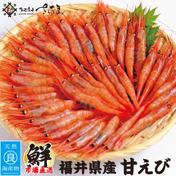 あまえび 福井県産 甘えび 250g～750g 急速冷凍 保存料不使用 無着色 甘エビ 甘