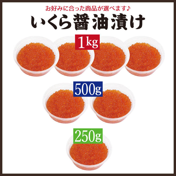 お年賀 いくら醤油漬け イクラ 鱒いくら 250g～1kg【冷凍便】いくら丼