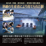 特大 国産うなぎ蒲焼き 1~3尾