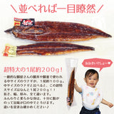 特大 国産うなぎ蒲焼き 1~3尾