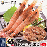 天然特大ぼたんえび 1kg~2kg