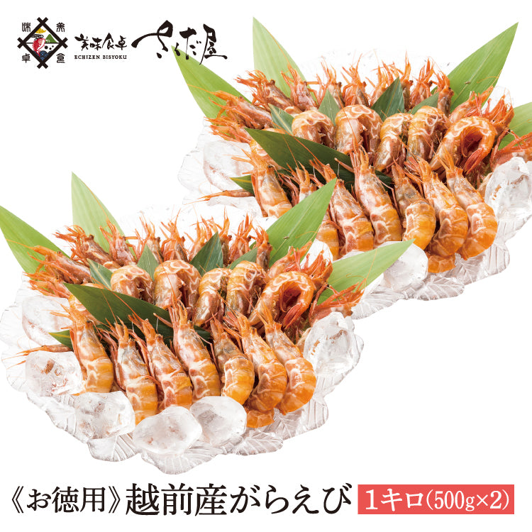 日本海産 がらえび ガラエビ 生食用 1kg ｜ 福井県越前市の魚屋 美味