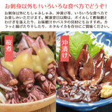 生ホタルイカ 1kg