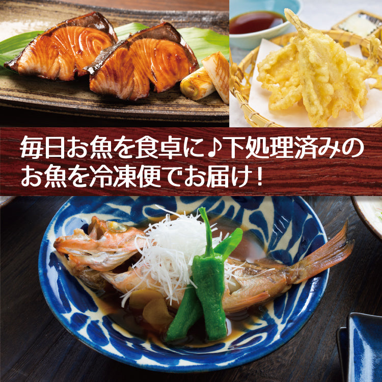 おうち時間応援！下処理済みおまかせお魚セット ４～６種入り – 美味