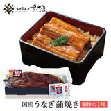 特大 国産うなぎ蒲焼き 1~3尾