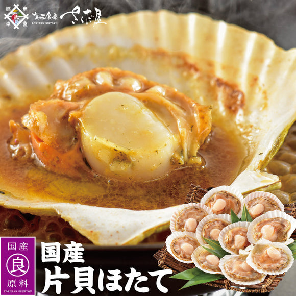 貝