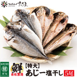 大きめ肉厚！あじ一塩干し 5枚セット 無選別5枚 1kg以上【冷凍便】