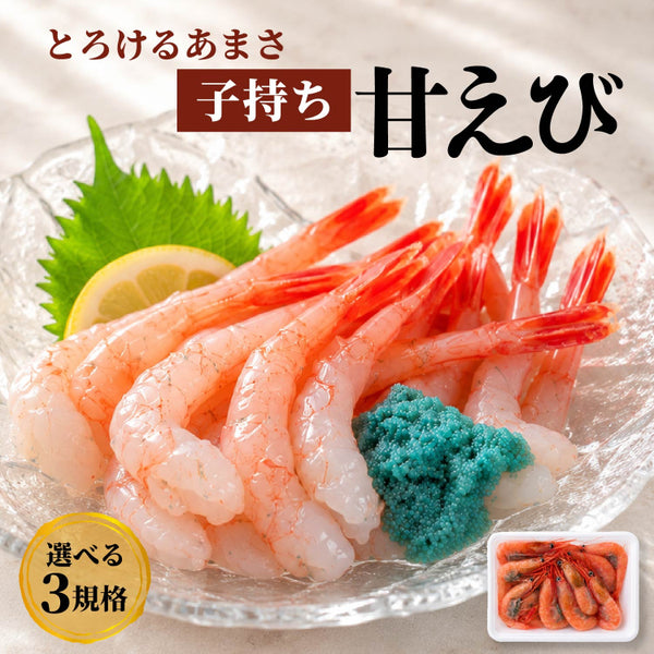 福井県産 甘えび 250g～750g 【冷凍便】 ｜ 福井県越前市の魚屋 美味
