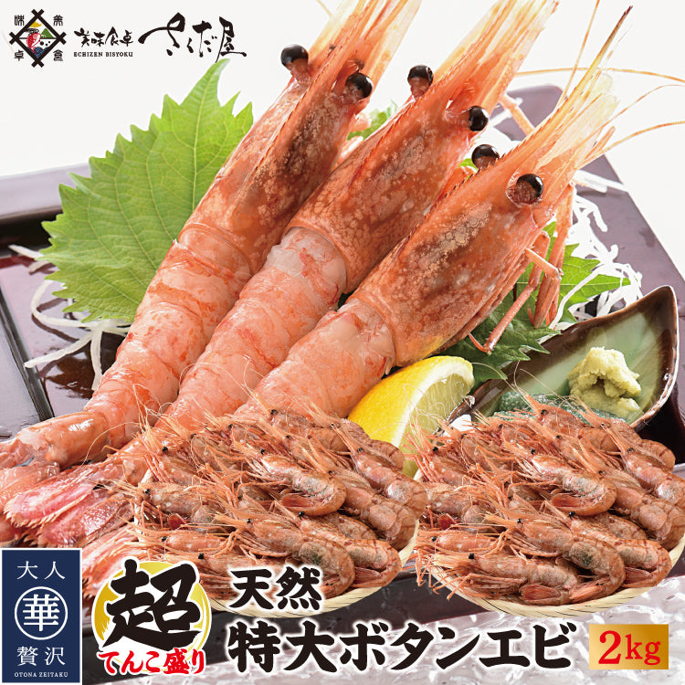 天然特大ぼたんえび 1kg～2kg – 美味食卓さくだ屋