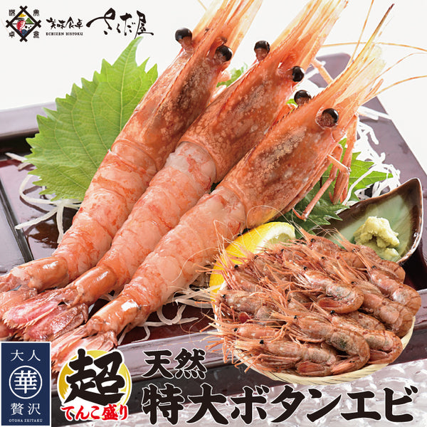 天然特大ぼたんえび 1kg～2kg 美味しい贈物 お歳暮