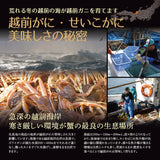 越前がに ズワイガニ 甲羅盛り ずわいがに 本ズワイ 冷凍便
