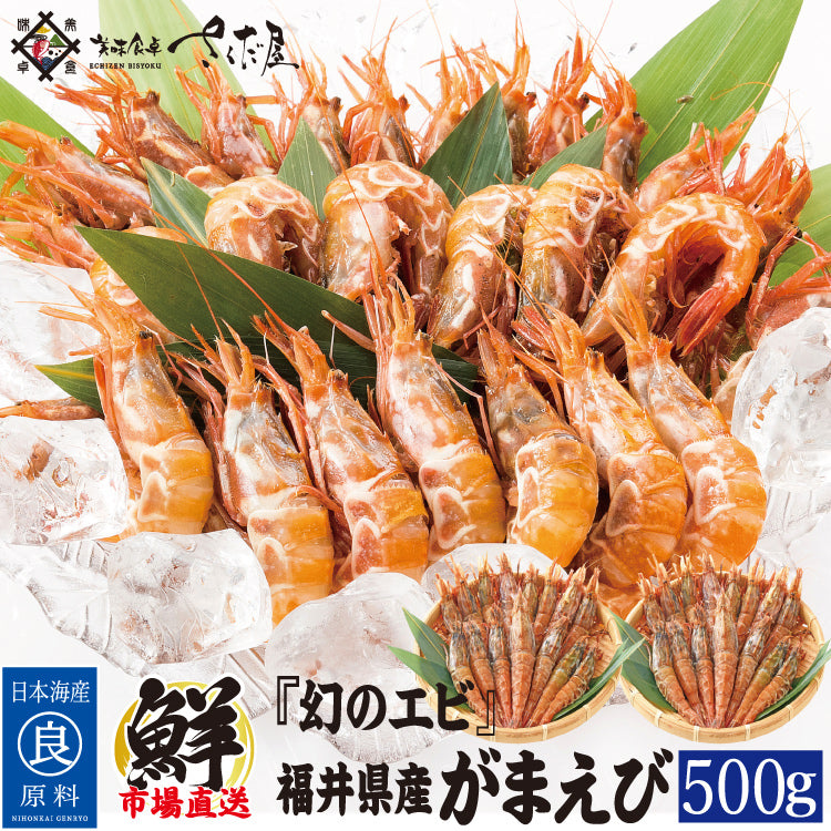 日本海産 がらえび ガラエビ 生食用 500g～1kg – 美味食卓さくだ屋
