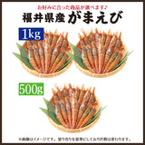 日本海産 がらえび ガラエビ 生食用 500g～1kg