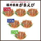 日本海産 がらえび ガラエビ 生食用【250g～750g】