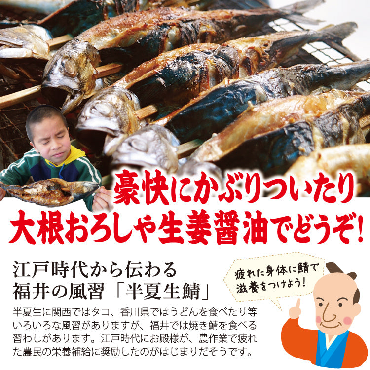 福井名物 浜焼きサバ 焼き鯖 ｜ 福井県越前市の魚屋 美味食卓さくだ屋
