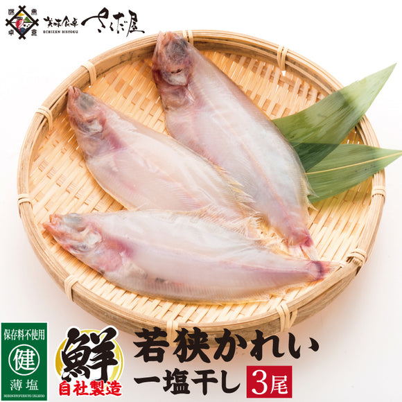 《小サイズ》若狭かれい一夜干し(3尾セット)