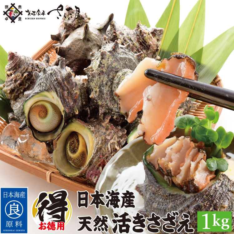 日本海産 天然 活さざえ1kg～3kg 冷蔵 美味しい贈物