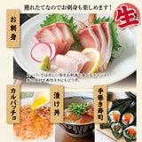 朝獲れ鮮魚セット　選べるコース
