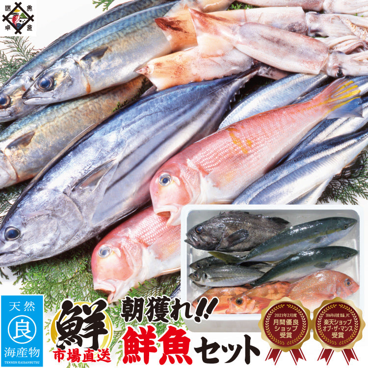 鮮魚・海鮮丼セット – 美味食卓さくだ屋