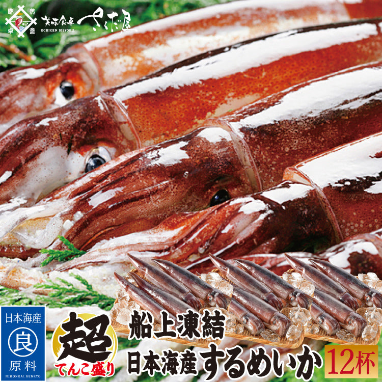 日本海するめいか 4杯～12杯 船凍イカ 冷凍便 敬老の日 御中元 お中元 – 美味食卓さくだ屋