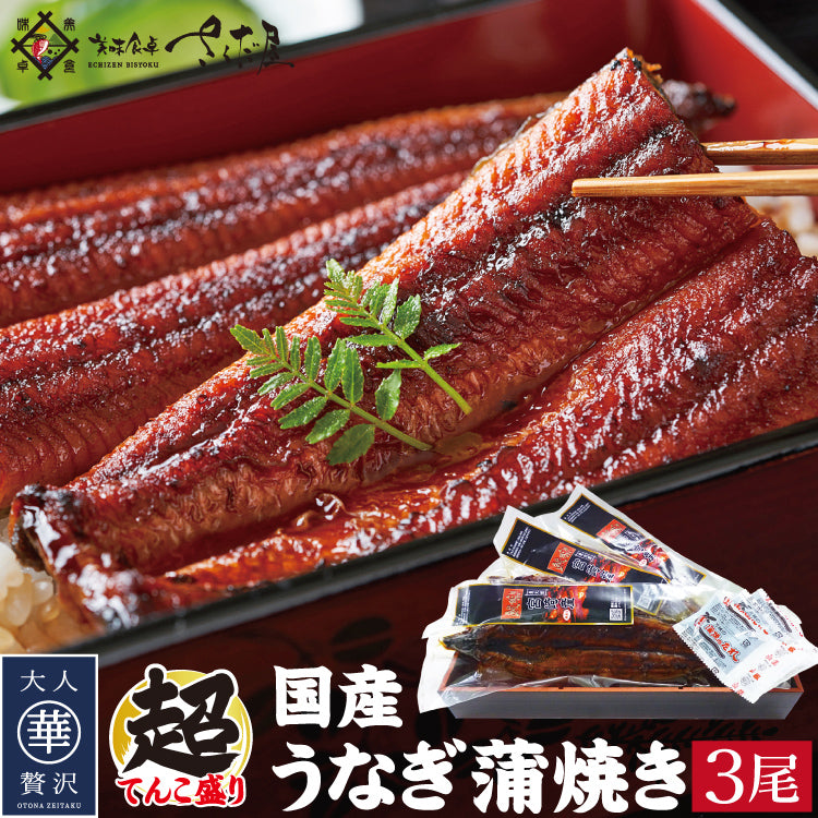 国産うなぎ蒲焼き2尾・3尾セット ｜ 福井県越前市の魚屋 美味食卓さくだ屋