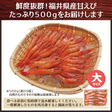 日本海産甘エビ【大】500g