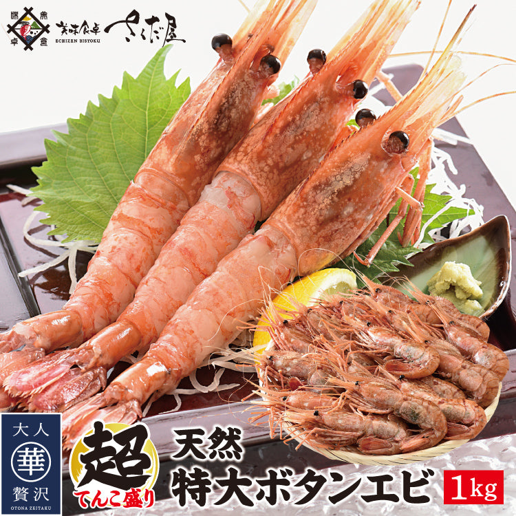天然特大ぼたんえび 1kg～2kg – 美味食卓さくだ屋