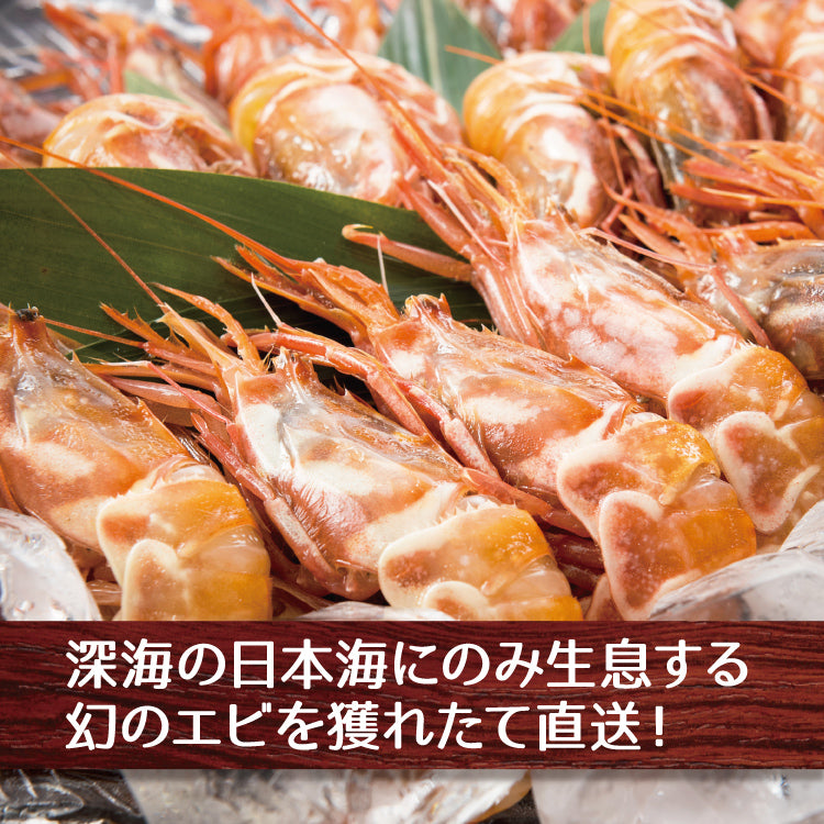 日本海産 がらえび ガラエビ 生食用 500g～1kg – 美味食卓さくだ屋