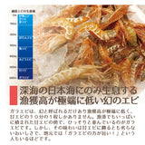 日本海産 がらえび ガラエビ 生食用【500g】