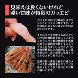 日本海産 がらえび ガラエビ  生食用【1kg】