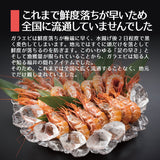 日本海産 がらえび ガラエビ 生食用【250g～750g】