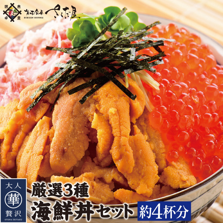 ウニ・カニ・いくらのたっぷり海鮮丼セット 【冷凍便】 ｜ 福井県越前